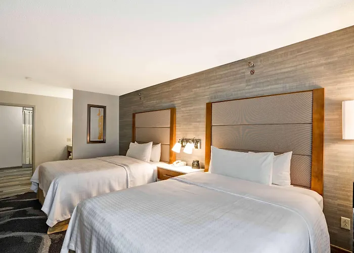 Hotel Homewood By Hilton Chicago-downtown