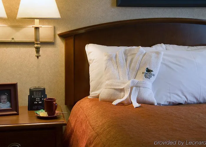 Homewood By Hilton Chicago-downtown Hotel 3*